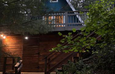 Bluebird Cabin - Cozy A-Frame Retreat - Photo 18