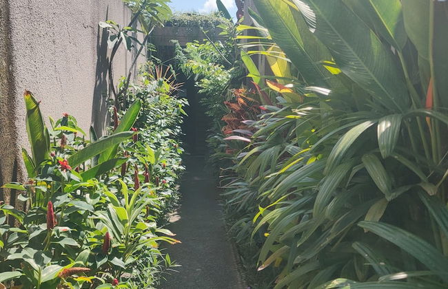 Taman Amertha Villas - Foto 70