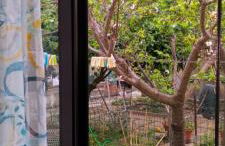 Casa Vacanze al muro di cinta Carloforte - Photo 32