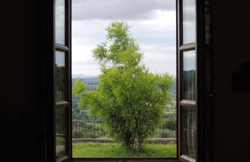 Agriturismo Tenuta Cantagallo - Foto 64