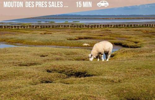 Le Gîte d’en Bas-St Valery à 15min-Équipement bébé - Foto 51