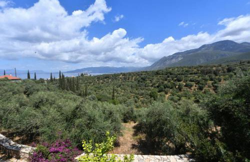 Green 'n Gray Sea & Mountain House - Foto 10