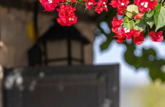 Villa Aggeliki - Foto 61