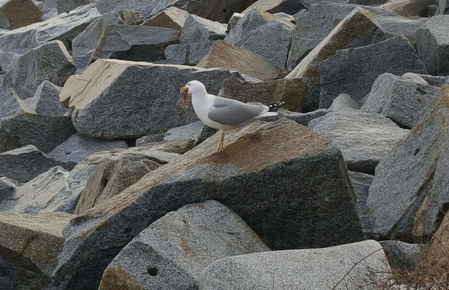 Villa Maria - Foto 32