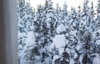 Denali Wild Stay - Moose Cabin, Free Wifi, 2 private bedrooms, sleep 6 - Photo 42