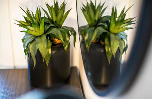 MetaphysiComo - Foto 3