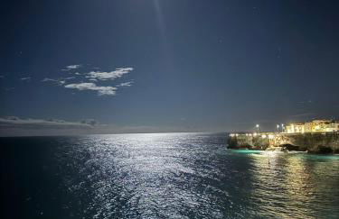 Antico Gelso - Foto 50