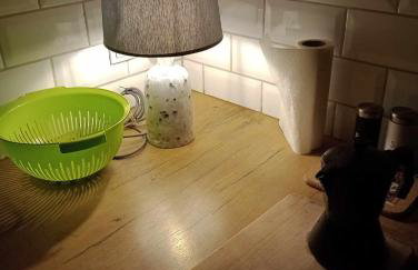 Pokoje nad Radunią - taras i ogrodek - Foto 19