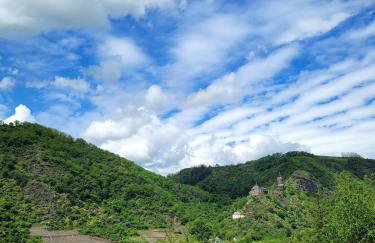 Ruhig gelegende Ferienwohnung an der Mosel - Foto 14