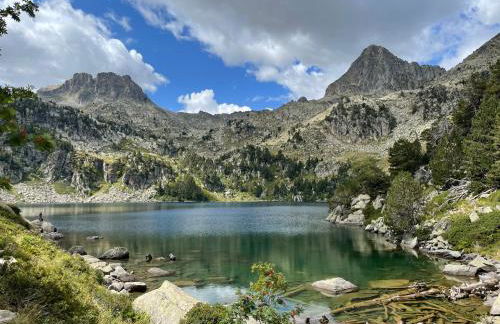 VielhaTuca - Foto 12