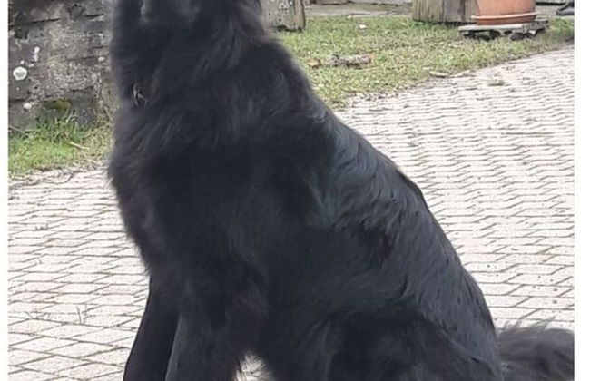 Vakantie in het Dorp - Photo 11