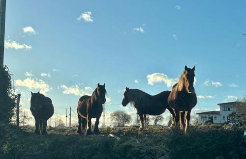 Apartamentos Nel I - Foto 57