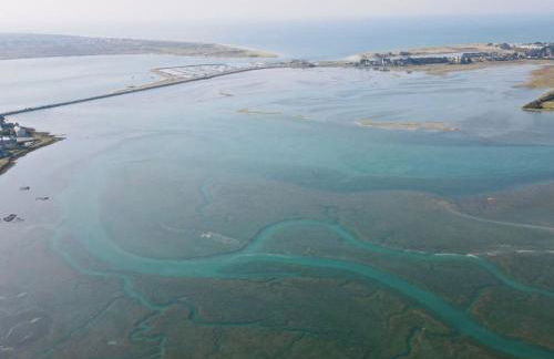 Holiday Home Haus Havre in Portbail by Interhome - Photo 19