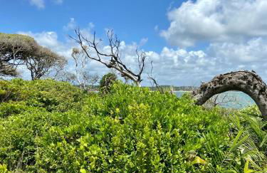 Casa de praia Enseadas do corais - 20 metros da praia - Foto 34