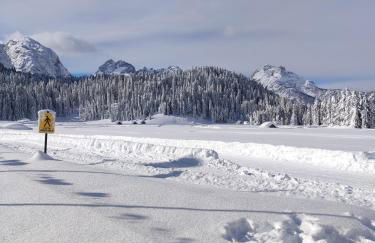 APPARTAMENTO CENTRALe PRINCIPALe SAPPADA - Foto 28