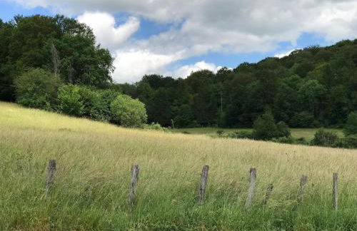 Gîte du Pavillon 4 pers Wi-Fi Haute Marne - Foto 20