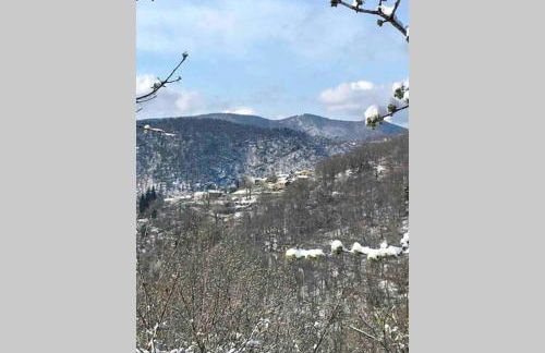 La Pellegrine, Parc national des Cévennes - Foto 51