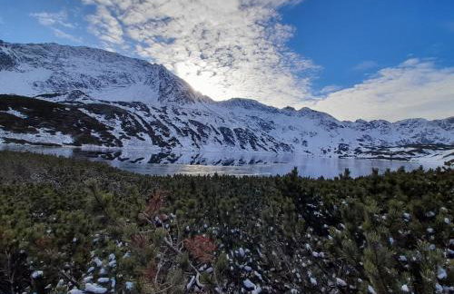 Zagroda Rusiński - Foto 48