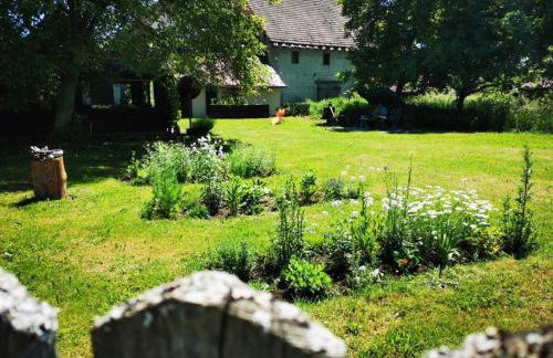 Ferienwohnung Erlwein - Foto 11