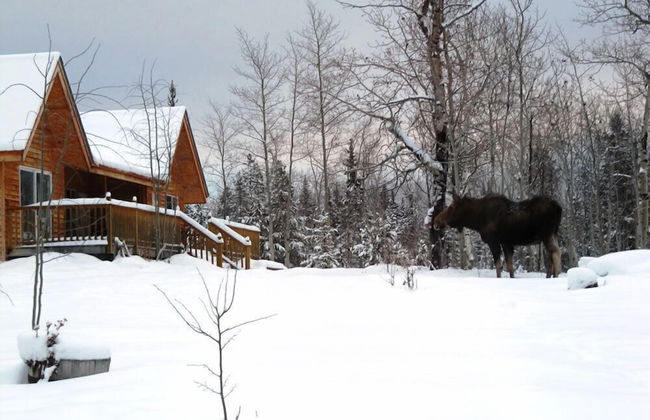 Eagle Bear Lodge - Foto 15