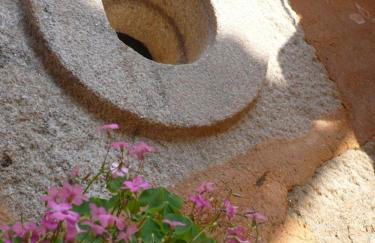 Casa da Ti Cura - Foto 23