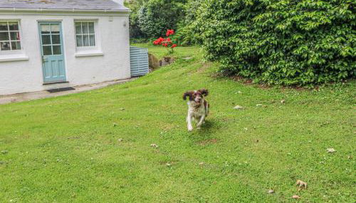 Penwarne Lodge - Foto 4