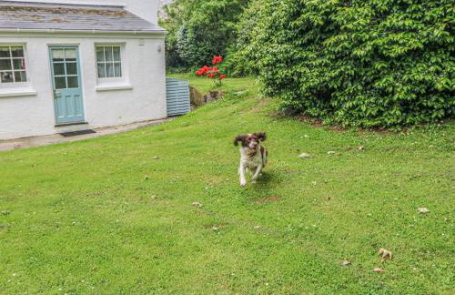 Penwarne Lodge - Foto 4