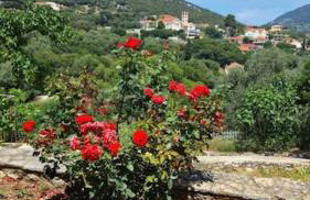 Mountain Breeze Cottage - Foto 26