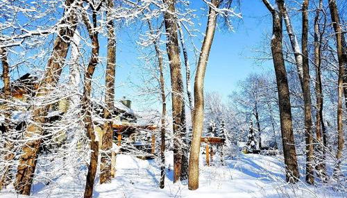 Everchanging Seasons-Hot Tub, Game Haven & Central Retreat - Foto 4