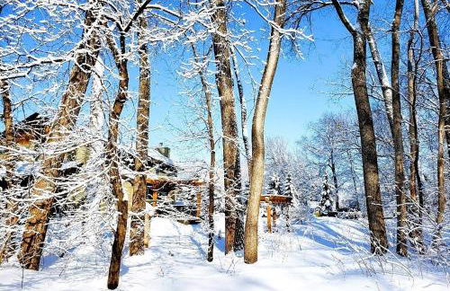 Everchanging Seasons-Hot Tub, Game Haven & Central Retreat - Foto 4