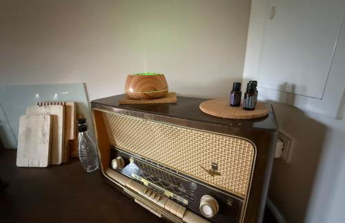 Blockbohlen HolzHaus mit Sauna, Outdoor Jacuzzi und BadeTeich - Foto 40