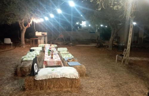 Tenuta L'uliveto - Foto 9