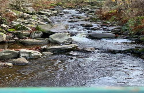 Cosy Holiday Home in the Harz Region - Foto 110