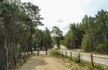 Domek Letniskowy Grażyna - Foto 41