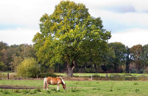 Ferienhaus Clara - Foto 22