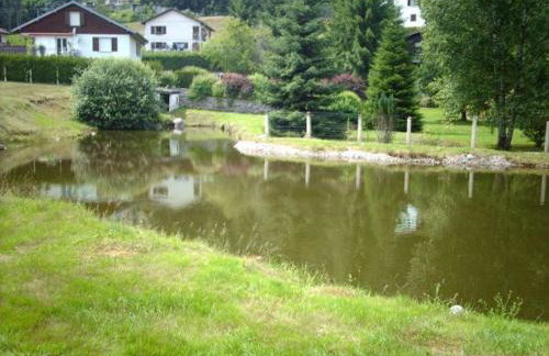 Gîte familial aux Vosges avec jeux pour enfants, à proximité de la nature et activités sportives - FR-1-589-111 - Foto 5