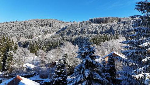 CHALET LES PRIMEVÈRES 4 Étoiles - Foto 3