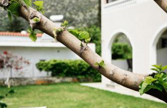 Asteria Apartments - Foto 35