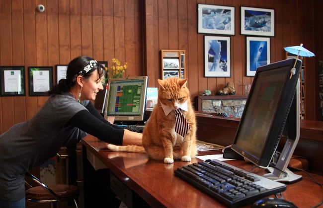 Rainforest Retreat - Foto 3