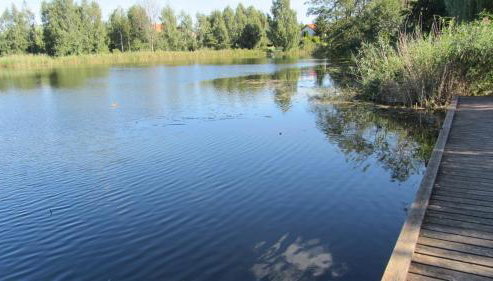 Grand Apartament nad Iławką - Foto 5