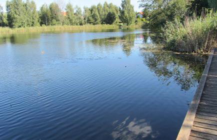 Grand Apartament nad Iławką - Foto 5