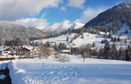 Exklusive FeWo AllgäuStern Steibis mit WLAN Sauna Kamin und Oberstaufen PLUS Card mit SKIPASS - Foto 51