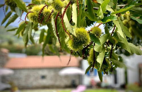 Casa do Açor - Villaverde Azores - Photo 102