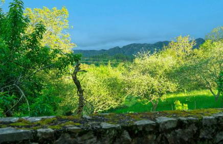 Casa del Sur El Collau - Foto 4