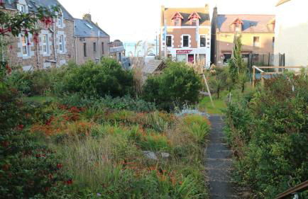 The Old Legion - Photo 18