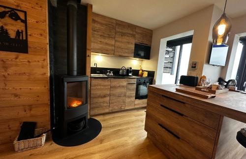 Face au glacier - Photo 18