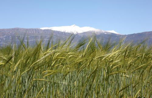 Las Bodegas De Claveria - Foto 9