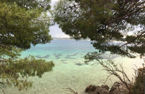 Apartments Jadra - Foto 2