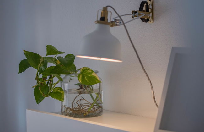 TuGuest Mulhacen Apartment - Foto 61