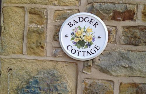 Badger Cottage - Foto 17